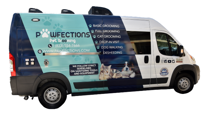 Pawfections – Salon and mobile pet services